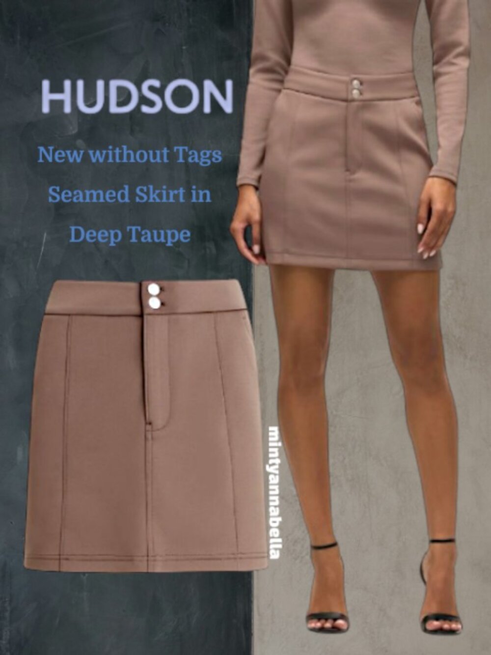 Hudson Seamed Mini Skirt in Deep Taupe